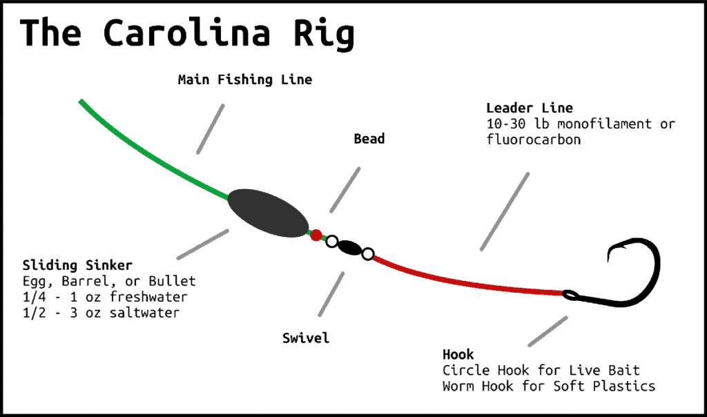 Carolina Rig Diagram