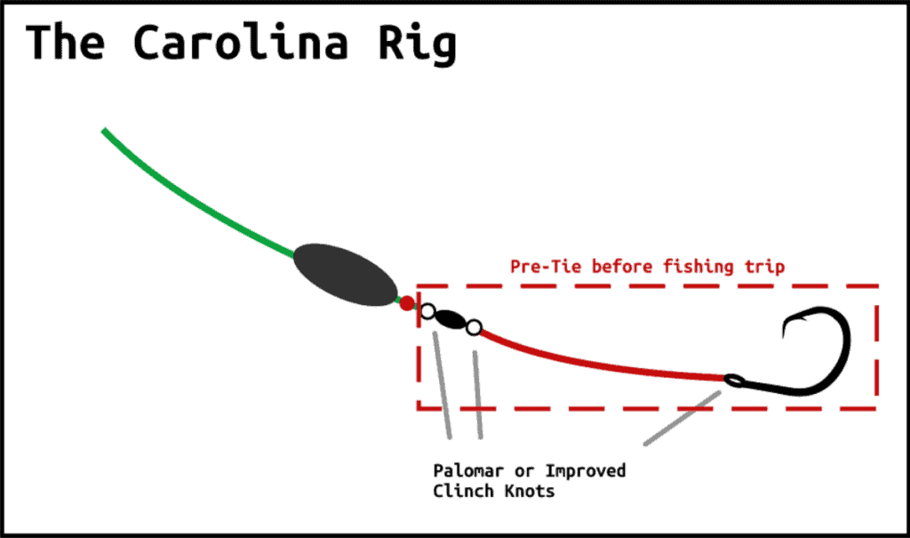 diagram of how to tie a Carolina Rig