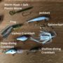 assorted bass baits for starter tackle box
