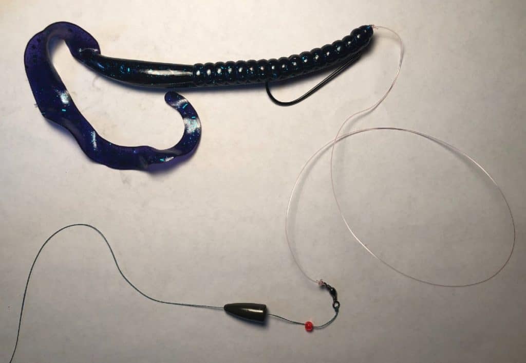 Carolina Rig for bass with ribbontail worm
