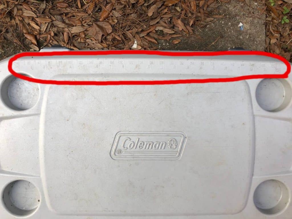 fishing cooler lid with built in ruler for fishing