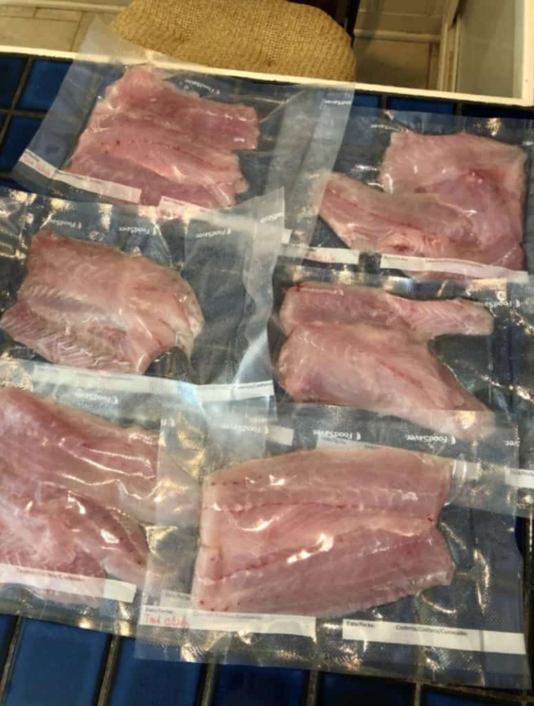 Vacuum sealed fish fillets in single dinner sized portions