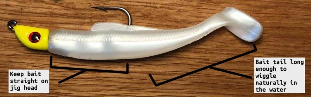 properly baited swimbait jig head with paddletail soft plastic