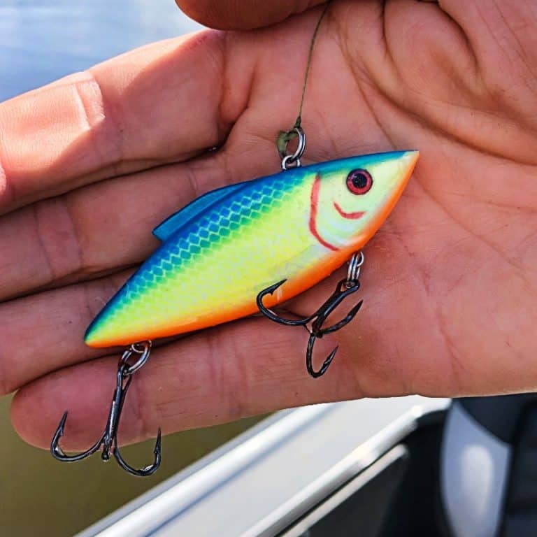 Lipless Crankbaits: Everything You Ever Wanted To Know - Juran Adventures