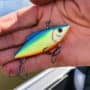 blue-yellow-orange-lipless-crankbait-held-in-hand