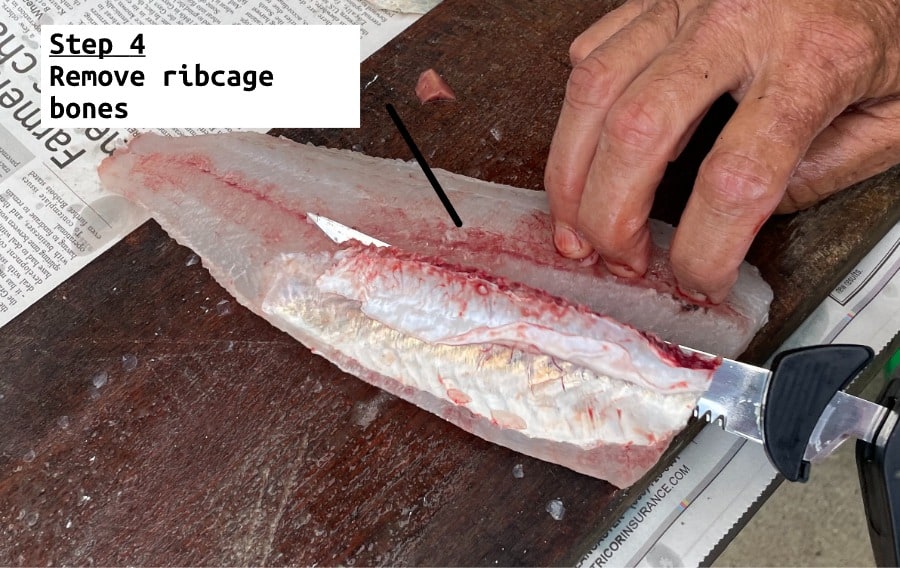 fish filleting step 4 remove ribcage bones