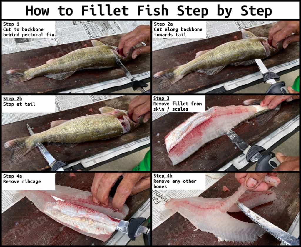 how to fillet fish diagram step by step guide