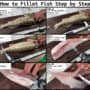 how to fillet fish diagram step by step