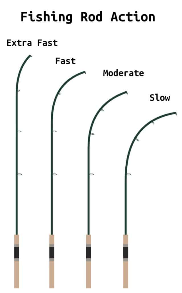 fishing rod actions explains extra fast, fast, moderate, slow