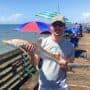 andrew juran holding shark on fishing pier