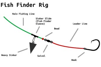 fish finder rig diagram