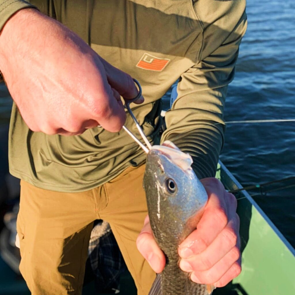 andrew juran using hemostat-fishing-pliers-in-action