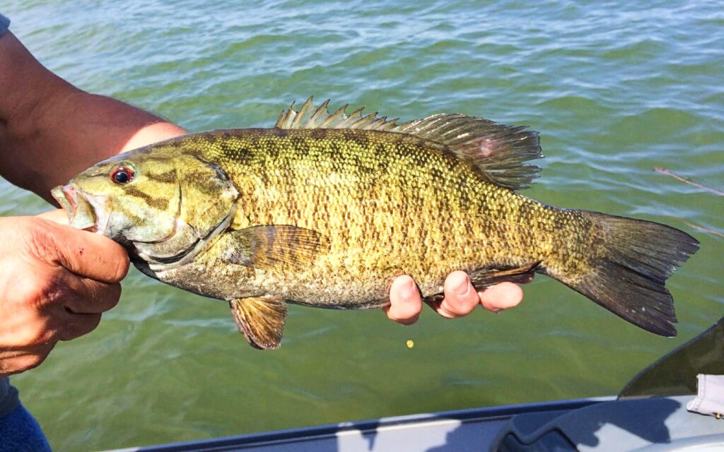 how to hold a bass horizontal grip