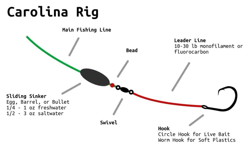 how to tie a carolina rig diagram