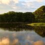 thick vegetation that could hold a bunch of bass