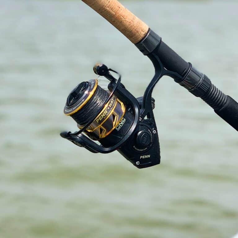 7 Best Walleye Reels for Jigging, Trolling, & Casting [2024 Guide ...