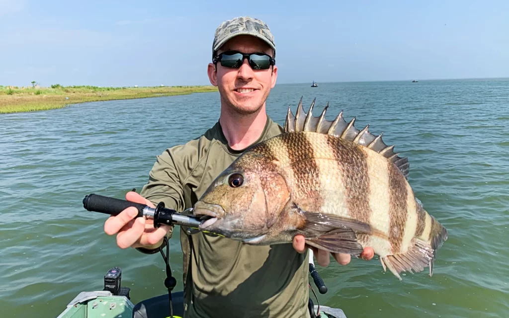 andrew juran holding sheepshead caught inshore saltwater fishing on live shrimp with a circle hook