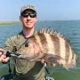 andrew juran holding sheepshead caught inshore saltwater fishing on live shrimp with a circle hook