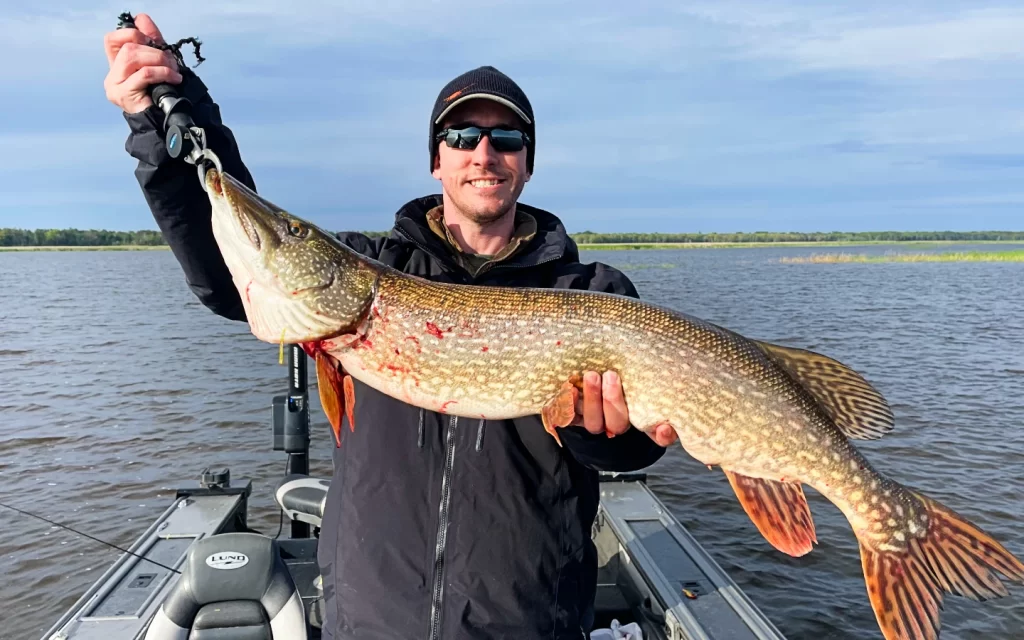 andrew juran holding Huge Northern Pike Caught on Lake Superior
