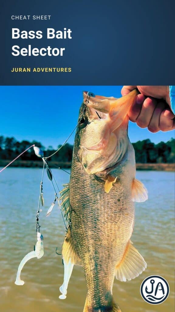 Bass Bait Selector - Cheat Sheet